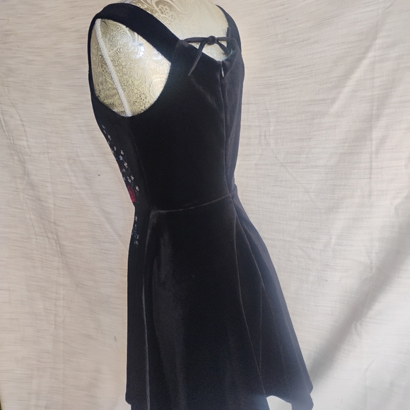 Francesca's Velvet Flare Dress with Embroidery - Picture 4 of 5